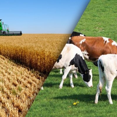 <strong>Avantages et inconvénients des accords d’exportation entre pays</strong>